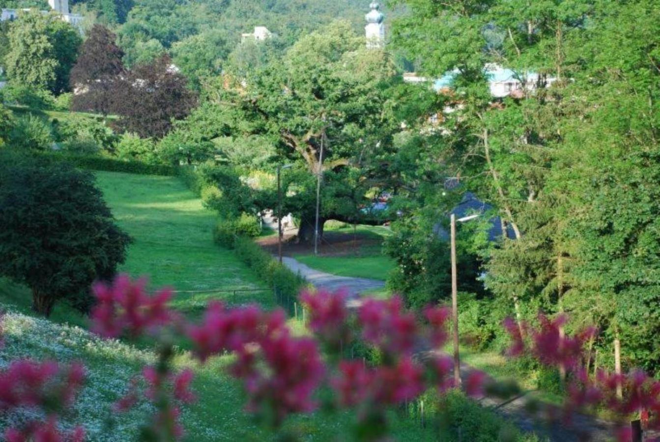 Rhoen Hotel Waldcafe St. Georg Staatsbad Brückenau Zewnętrze zdjęcie
